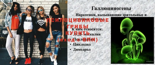 apvp Нея