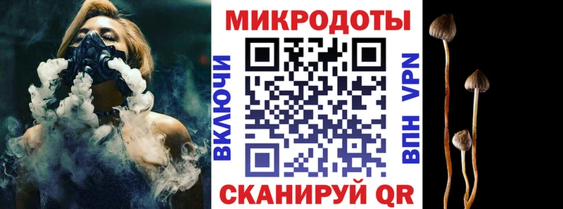 Псилоцибиновые грибы мухоморы  мега ONION  Северобайкальск 