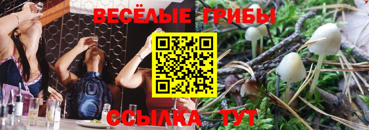 Галлюциногенные грибы мицелий  купить наркотик  Северобайкальск  Псилоцибиновые грибы Psilocybine cubensis  Вход с VPN 